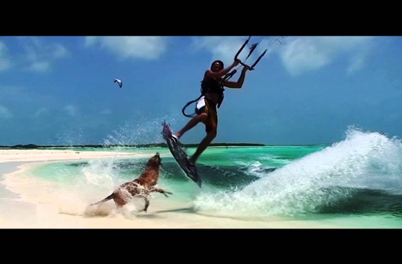 VIDEO kadras: „House Of Virus“ ir „Skamp“ – „Summertime“