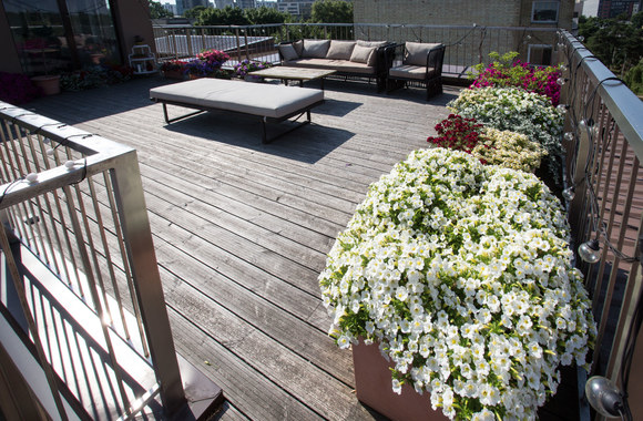 Naujas Vaidos Skaisgirės hobis – sodininkystė