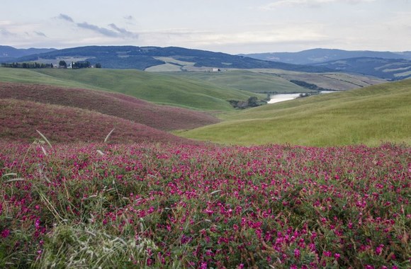 „Virtuvės mitų griovėjai” Italijoje