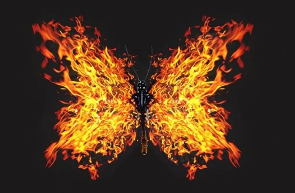 nerijus-liubertas-drugeliai-ugny