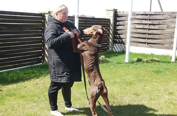 Gintarė Liutkuvienė / „Nuaro“  ir asmeninio albumo nuotr.