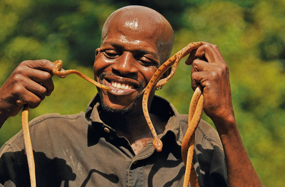 Gyvačių užkalbėtojas