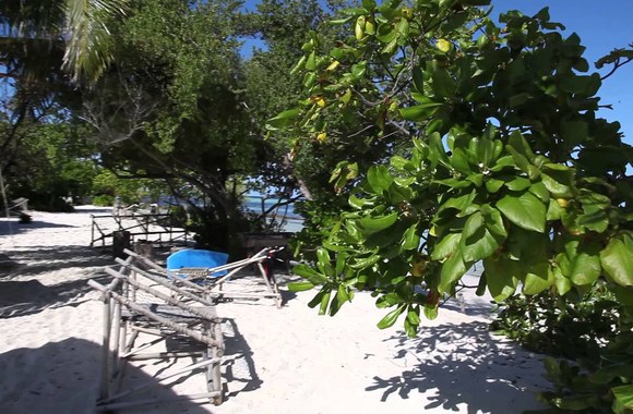 VIDEO kadras: Fragmentas iš naujos Sel dainos Gyvenimo man vieno neužtenka