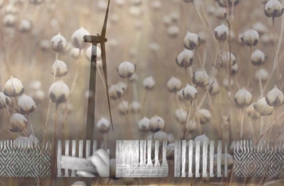 alvydas-jegelevicius-baltas-lino-gyvenimas