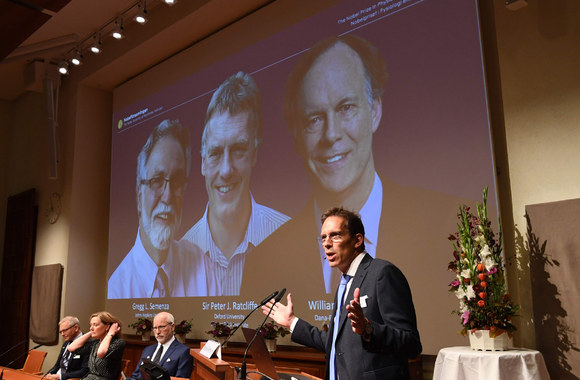 2019-ųjų Nobelio medicinos premijos paskelbimas / „Scanpix“ nuotr.
