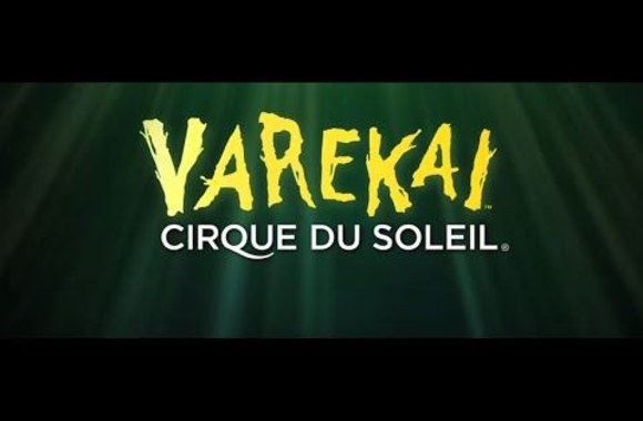 varekai-by-cirque-du-soleil-official-trailer