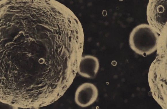 garbanotas-bosistas-last-summers-day