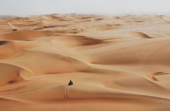 martin-garrix-third-party-lions-in-the-wild-official-video