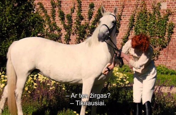 auksta-klase-high-rise-lithuanian-trailer