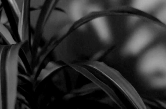 VIDEO kadras: Chinawoman daina „Vacation from love“