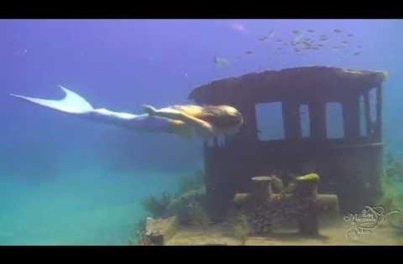 VIDEO kadras: Linden Wolbert laida vaikams apie vandenyną