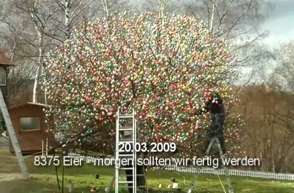 VIDEO kadras: Velykų medis