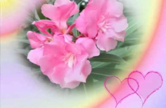 VIDEO kadras: Alano Chošnau daina „Laiškas ant sniego“