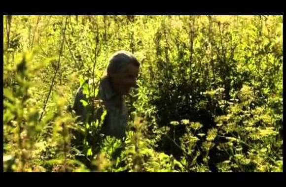 living-among-grasses-zalumose-trailer