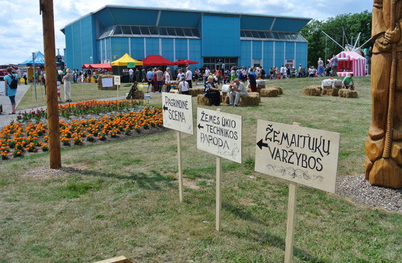 Šeimų festivalis „Naisių vasara“