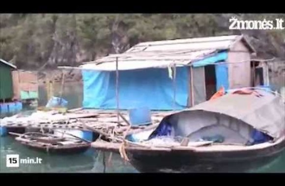 VIDEO kadras: Jurgos ir Ričardo Anusauskų kelionė po Vietnamą 