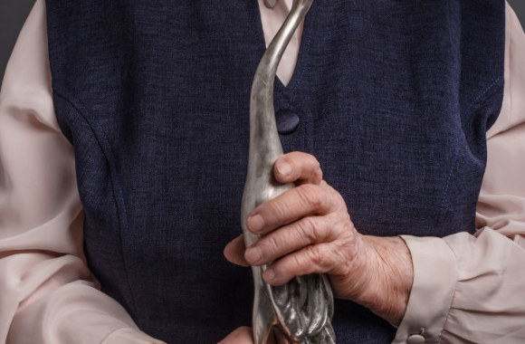 „Sidabrinės gervės“ fotosesija