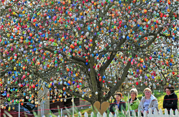 Volkerio Krafto velykų medis