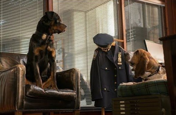 slaptasis-agentas-maksas-kinuose-nuo-birzelio-29-d