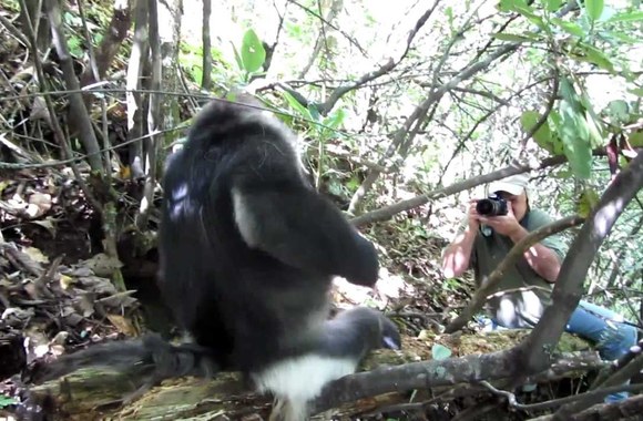 VIDEO kadras: Ričardas Anusauskas  Sičvano provincijoje