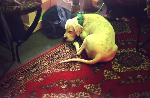 VIDEO kadras: Barzdų klubo kalendorius teaser