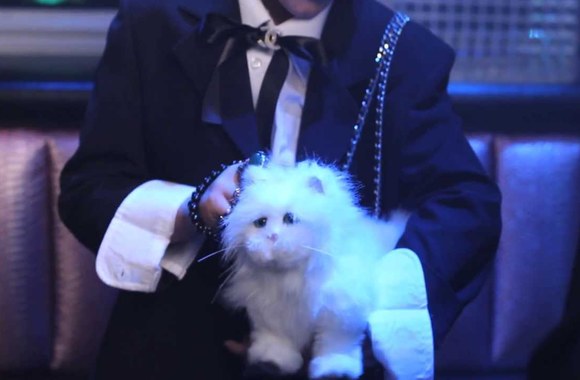 VIDEO kadras: „The Coveteur“ pasitelkė vaikus