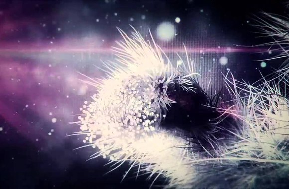 VIDEO kadras: „The Perfect Pill“ daina „To all the ruskins“