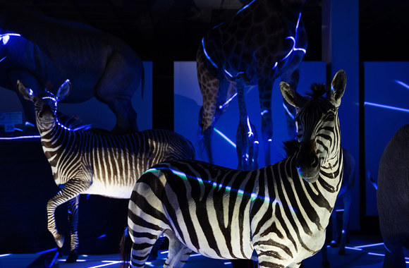 Emilijos Škarnulytės kūrinys / Martyno Plepio nuotr.