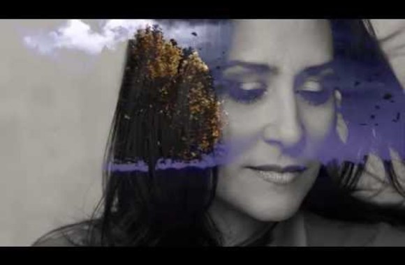 zilvinas-zvagulis-nakties-sapnai