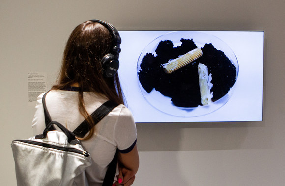 Naujos parodos MO muziejuje atidarymas / P. Peleckio / „Žmonės Foto“ nuotr.