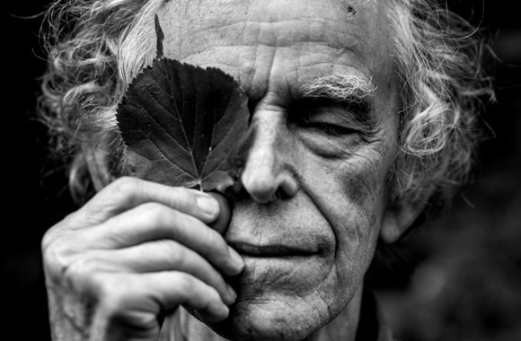 Gretos Skaraitienės užfiksuota 2020-ųjų akimirka