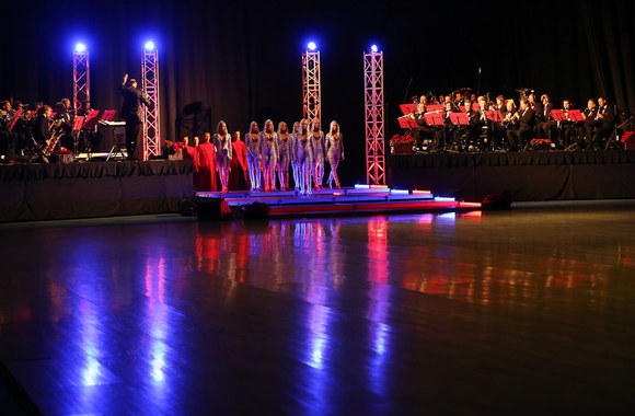 „Žuvėdros“ šou Vilniuje