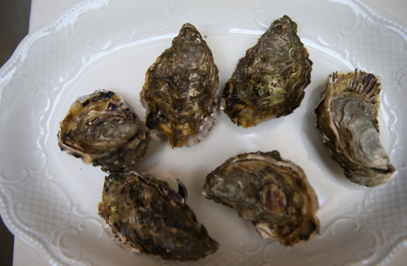 Ausrių sezono atidarymas