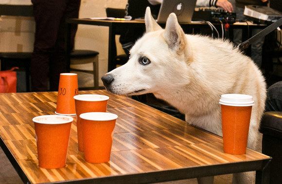 Hiphopo apdovanojimų nominantų paskelbimas