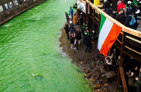 Šv. Patriko diena Vilniuje / G. Skaraitienės nuotr.