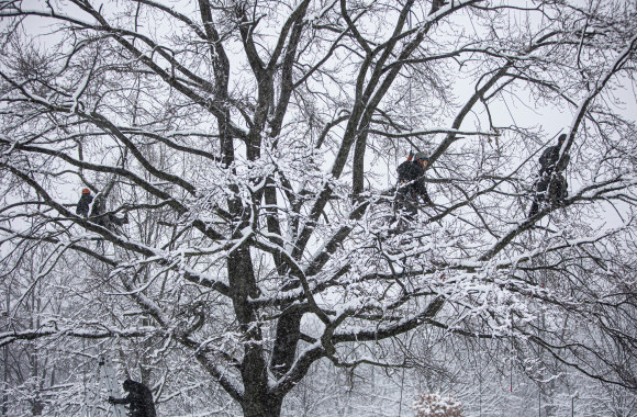 Snygis Vilniuje / Gretos Skaraitienės nuotr.