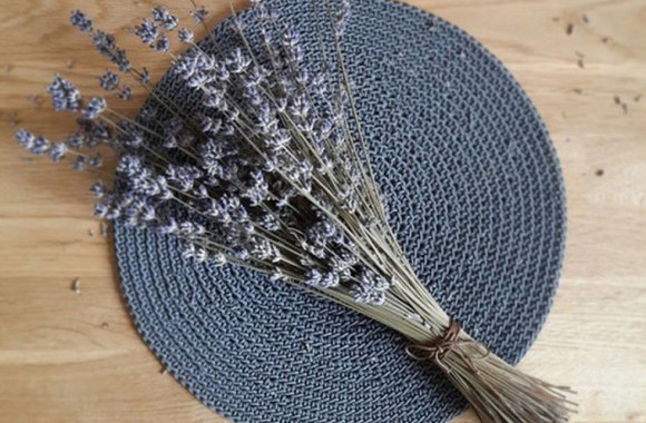 Aušros Stonytės darbai