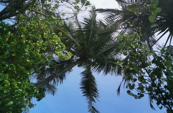 Justino ir Solveigos Barkų medaus mėnuo Maldyvuose/ Asmeninio albumo nuotr.