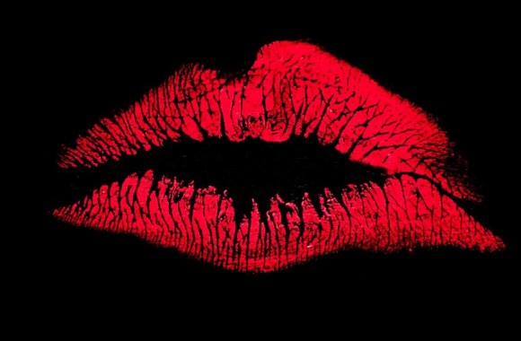 the-station-herojai-geraigerai-remix