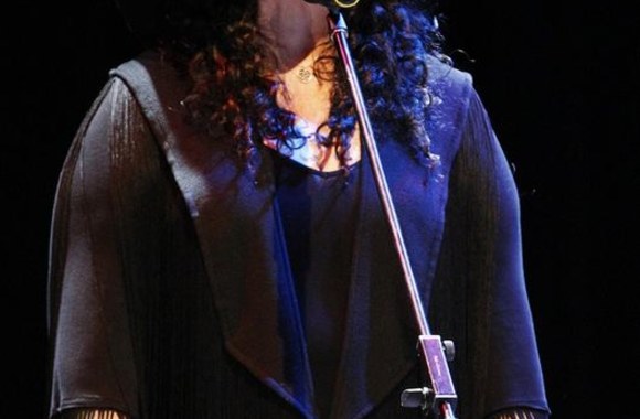 „Heart“ vokalistė Ann Wilson