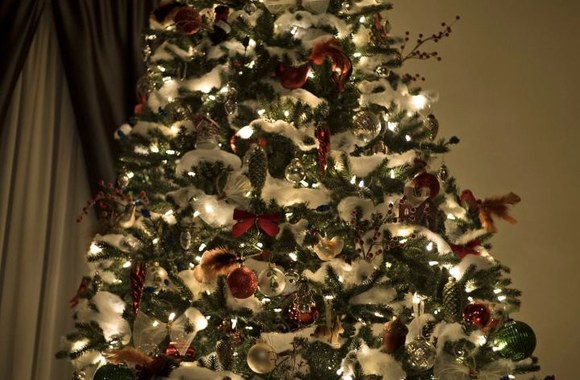 Evelinos Young kalėdinė eglutė