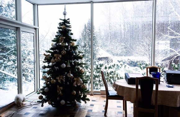 Sofio Gelašvili-Niūniavė