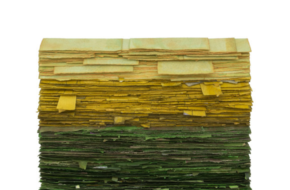 Ievos Babilaitės kūrinys „Žalia pieva“