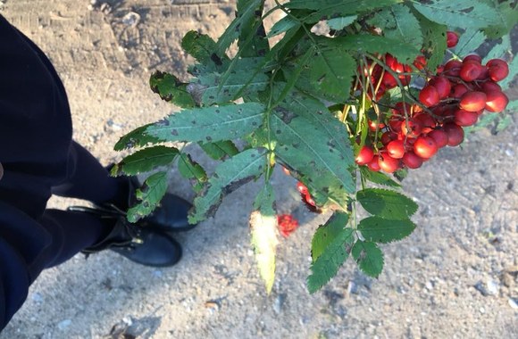 Kristinos Ivanovos savaitgalis pas močiutę