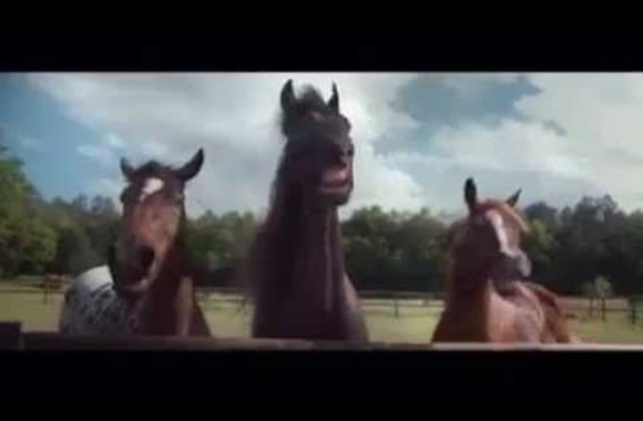 volkswagen-horses-laugh-commercial