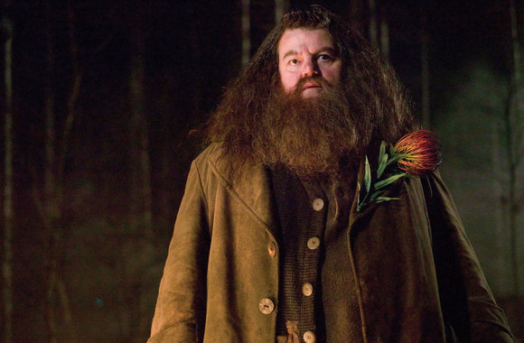 Robbie Coltrane'as filme apie Harį Poterį / Scanpix nuotr.