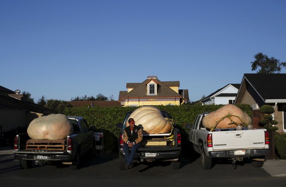 Didžiausio moliūgo konkursas JAV