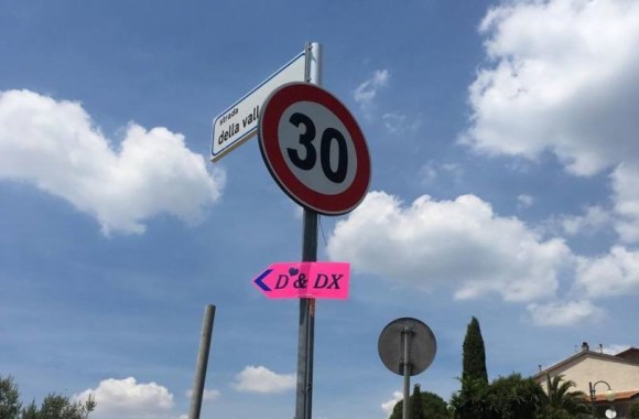 Dalios gimtadienio šventė