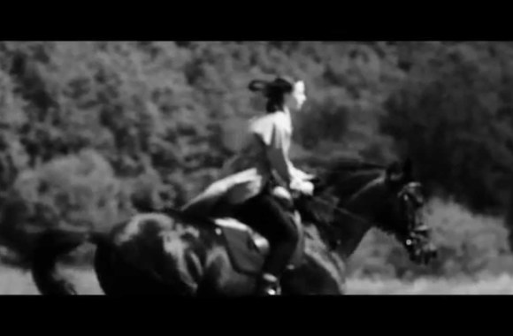 holy-motors-stay-the-night