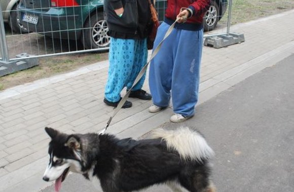 „Tamsta muzika 2012“ dalyviai su augintiniais